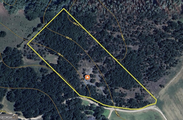 54 Lodge Ground Ln, Hawkinsville, GA 31036 - map