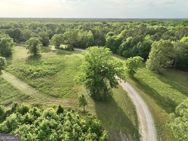 54 Lodge Ground Ln, Hawkinsville, GA 31036 - drone / aerial view with a rural view and a forest view