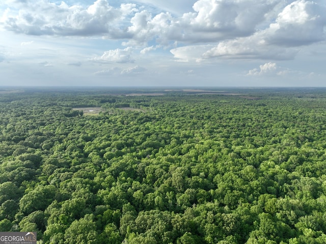 54 Lodge Ground Ln, Hawkinsville, GA 31036 - bird's eye view featuring a forest view