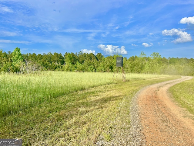 54 Lodge Ground Ln, Hawkinsville, GA 31036 - view of street