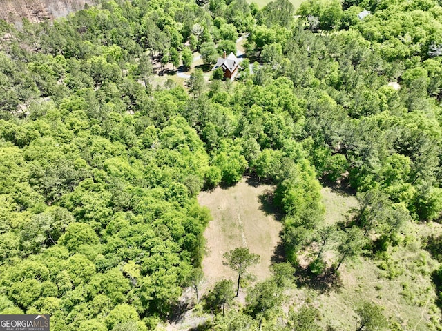 54 Lodge Ground Ln, Hawkinsville, GA 31036 - aerial view featuring a wooded view