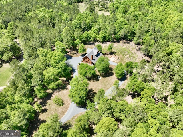 54 Lodge Ground Ln, Hawkinsville, GA 31036 - drone / aerial view featuring a view of trees