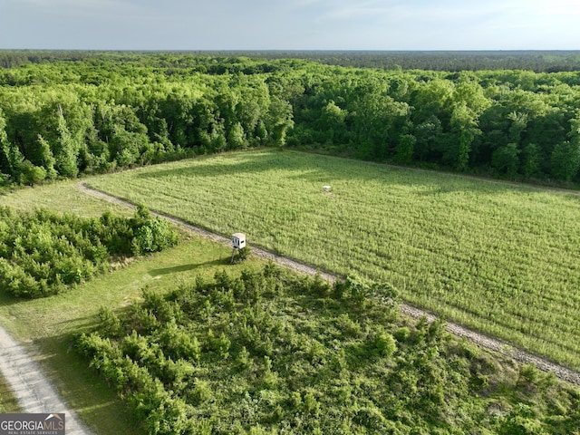 54 Lodge Ground Ln, Hawkinsville, GA 31036 - bird's eye view featuring a rural view