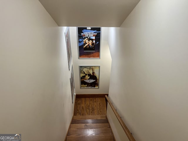 54 Lodge Ground Ln, Hawkinsville, GA 31036 - stairs featuring wood finished floors