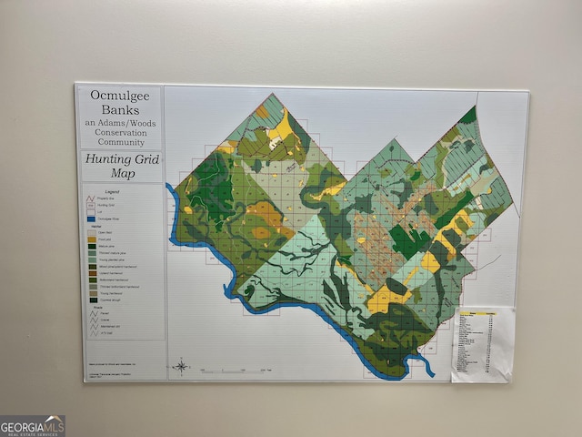 54 Lodge Ground Ln, Hawkinsville, GA 31036 - map