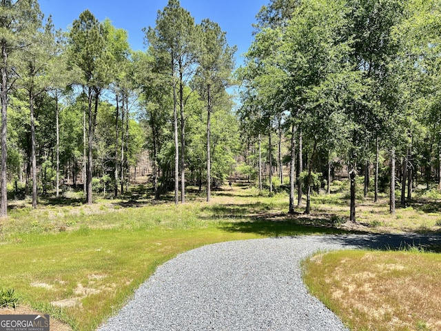 54 Lodge Ground Ln, Hawkinsville, GA 31036 - view of community