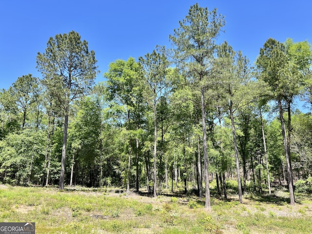 54 Lodge Ground Ln, Hawkinsville, GA 31036 - view of landscape