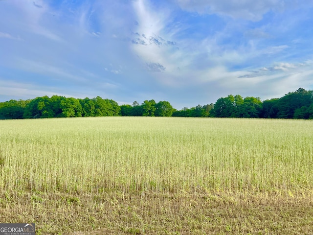 54 Lodge Ground Ln, Hawkinsville, GA 31036 - view of nature with a rural view and a forest view