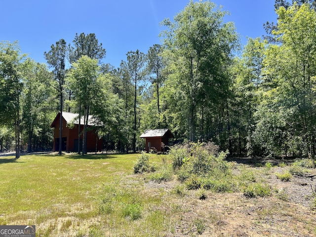 54 Lodge Ground Ln, Hawkinsville, GA 31036 - view of yard featuring a forest view and an outbuilding