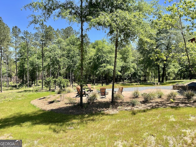 54 Lodge Ground Ln, Hawkinsville, GA 31036 - view of property's community with a yard