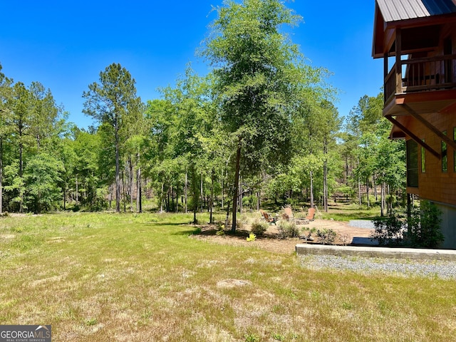 54 Lodge Ground Ln, Hawkinsville, GA 31036 - view of yard