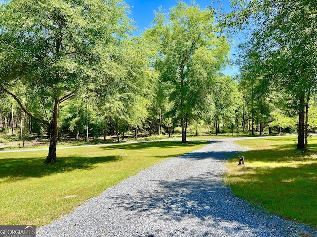 54 Lodge Ground Ln, Hawkinsville, GA 31036 - view of community featuring a yard