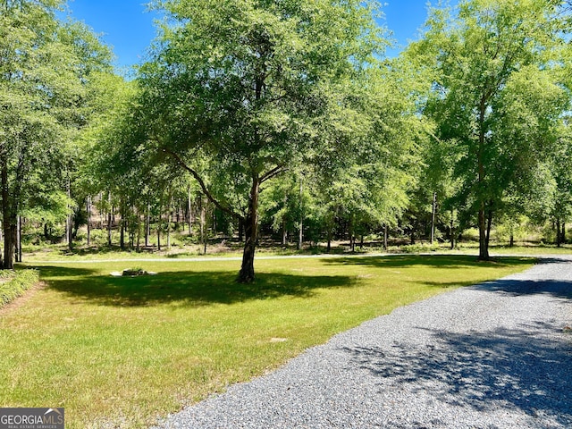 54 Lodge Ground Ln, Hawkinsville, GA 31036 - view of property's community featuring a yard