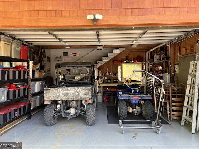 54 Lodge Ground Ln, Hawkinsville, GA 31036 - view of garage
