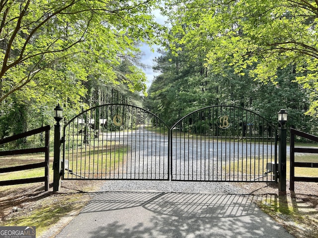 54 Lodge Ground Ln, Hawkinsville, GA 31036 - view of gate