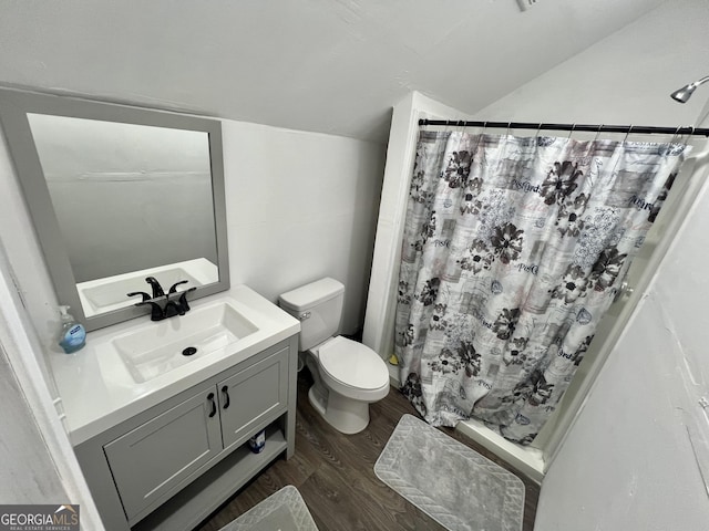 54 Lodge Ground Ln, Hawkinsville, GA 31036 - bathroom with a stall shower, toilet, vaulted ceiling, wood finished floors, and vanity
