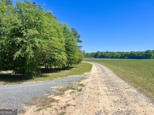 54 Lodge Ground Ln, Hawkinsville, GA 31036 - view of street featuring a rural view