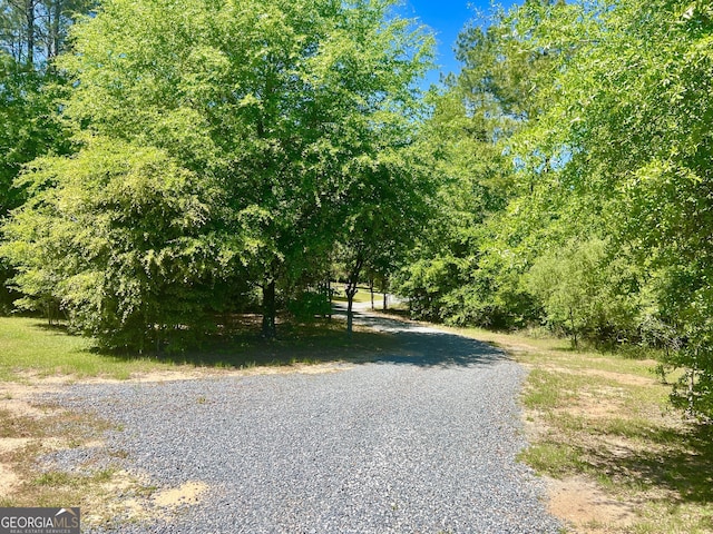 54 Lodge Ground Ln, Hawkinsville, GA 31036 - view of road