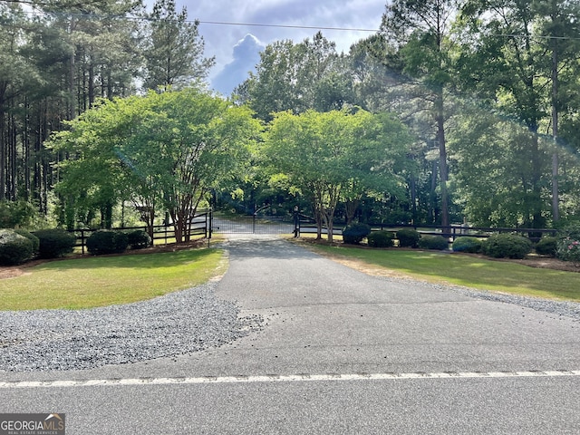54 Lodge Ground Ln, Hawkinsville, GA 31036 - view of road with driveway