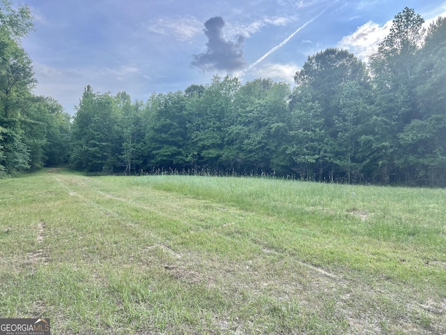 54 Lodge Ground Ln, Hawkinsville, GA 31036 - view of yard with a forest view