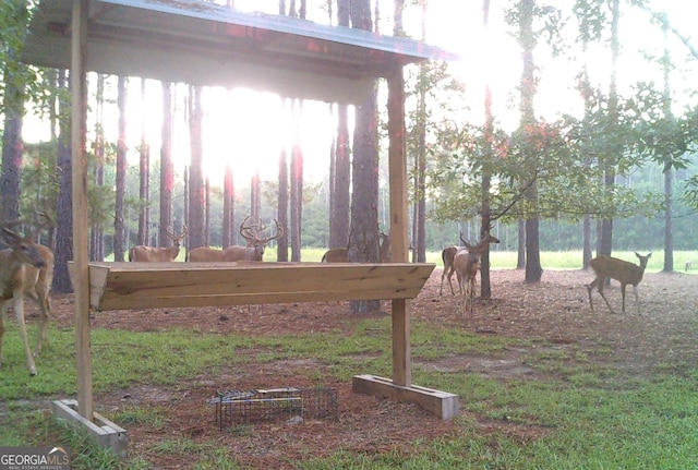 54 Lodge Ground Ln, Hawkinsville, GA 31036 - view of yard