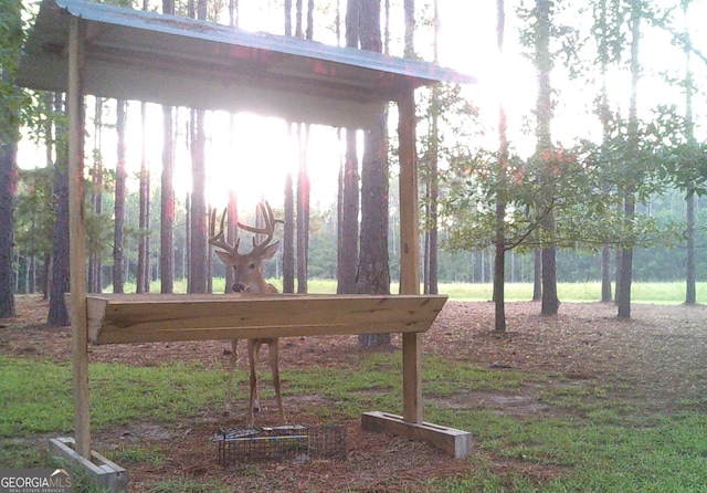 54 Lodge Ground Ln, Hawkinsville, GA 31036 - view of property's community