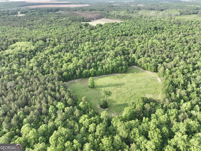54 Lodge Ground Ln, Hawkinsville, GA 31036 - drone / aerial view featuring a view of trees