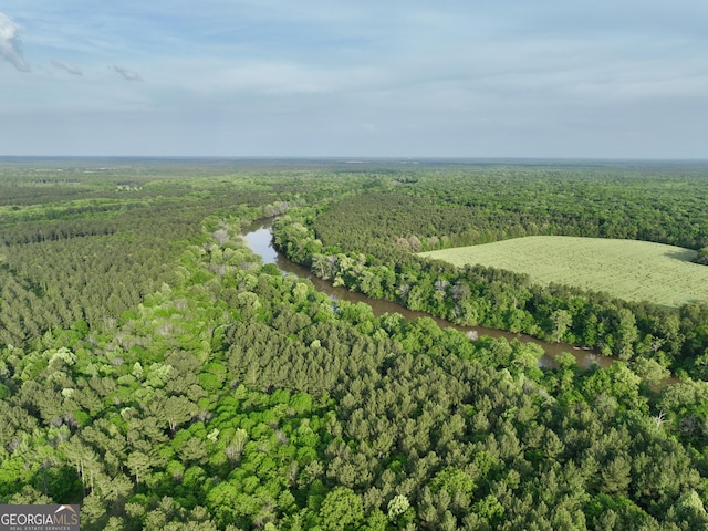 54 Lodge Ground Ln, Hawkinsville, GA 31036 - bird's eye view featuring a view of trees and a water view
