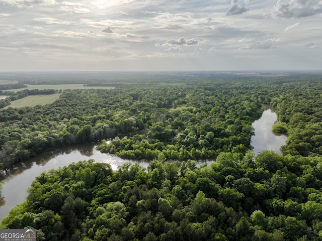 54 Lodge Ground Ln, Hawkinsville, GA 31036 - birds eye view of property featuring a water view and a wooded view