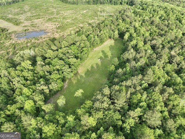 54 Lodge Ground Ln, Hawkinsville, GA 31036 - bird's eye view featuring a wooded view
