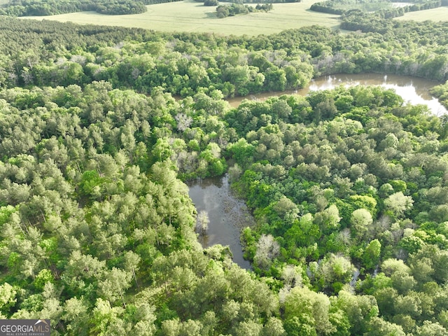 54 Lodge Ground Ln, Hawkinsville, GA 31036 - aerial view with a view of trees and a water view