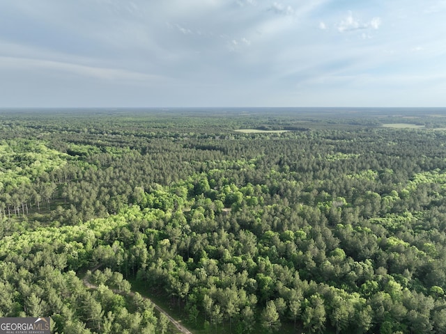 54 Lodge Ground Ln, Hawkinsville, GA 31036 - bird's eye view with a view of trees