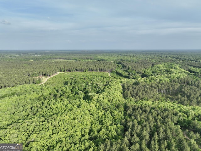 54 Lodge Ground Ln, Hawkinsville, GA 31036 - birds eye view of property featuring a wooded view