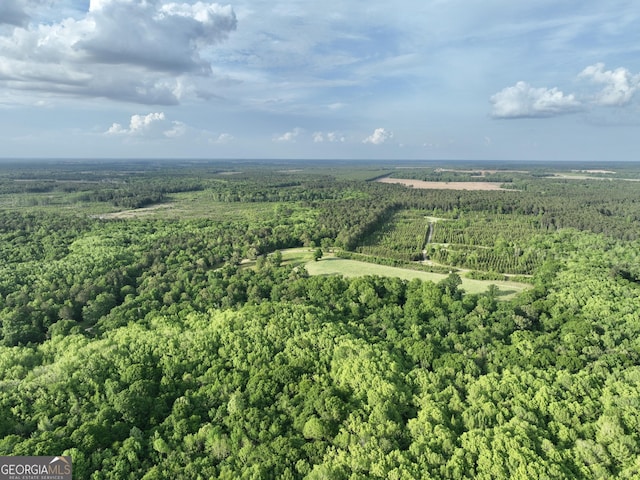 54 Lodge Ground Ln, Hawkinsville, GA 31036 - bird's eye view with a view of trees
