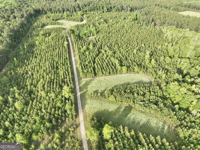 54 Lodge Ground Ln, Hawkinsville, GA 31036 - birds eye view of property with a view of trees