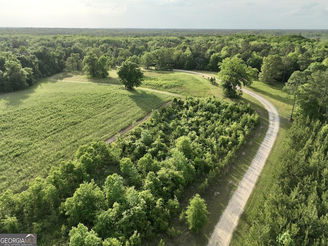 54 Lodge Ground Ln, Hawkinsville, GA 31036 - bird's eye view with a rural view and a forest view