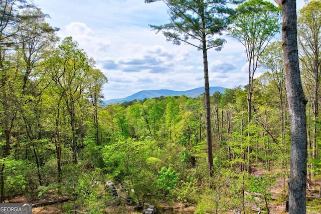 361 Rising Star Rd Unit 14, Ellijay, GA 30536 - mountain view featuring a view of trees