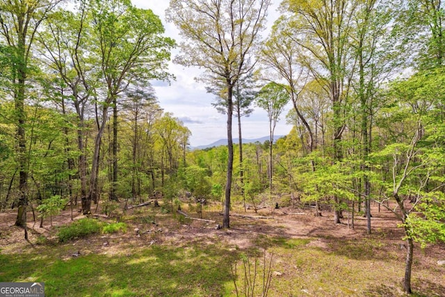 361 Rising Star Rd Unit 14, Ellijay, GA 30536 - view of nature with a mountain view