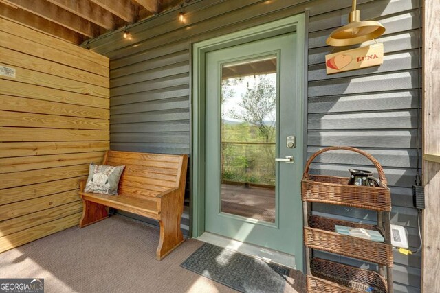 361 Rising Star Rd Unit 14, Ellijay, GA 30536 - view of exterior entry