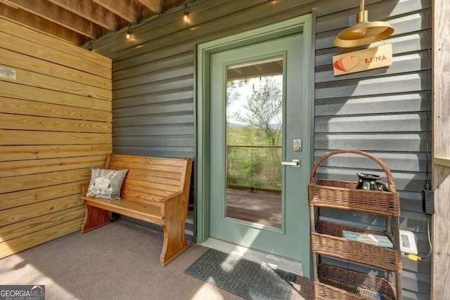 361 Rising Star Rd Unit 14, Ellijay, GA 30536 - property entrance