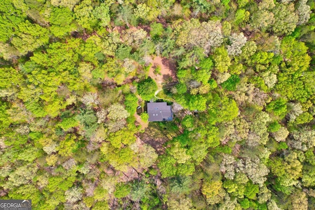 361 Rising Star Rd Unit 14, Ellijay, GA 30536 - drone / aerial view