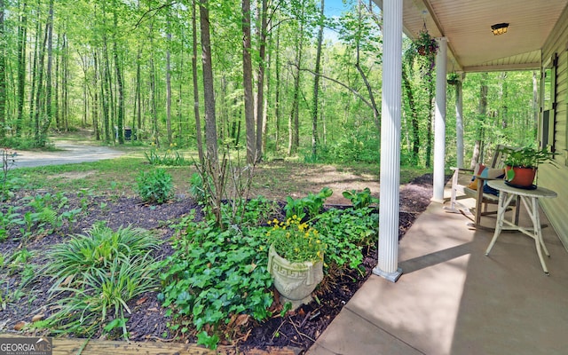 500 Old Mize Rd, Toccoa, GA 30577 - view of patio featuring a porch
