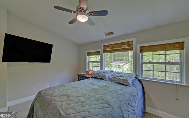500 Old Mize Rd, Toccoa, GA 30577 - carpeted bedroom featuring baseboards, multiple windows, and visible vents