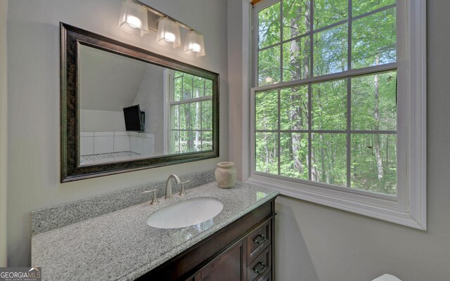 500 Old Mize Rd, Toccoa, GA 30577 - bathroom featuring plenty of natural light and vanity