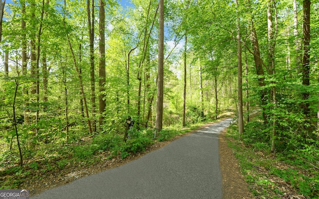 500 Old Mize Rd, Toccoa, GA 30577 - view of street featuring a wooded view