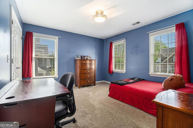 629 Gold Valley Pass, Canton, GA 30114 - bedroom featuring baseboards, visible vents, and carpet