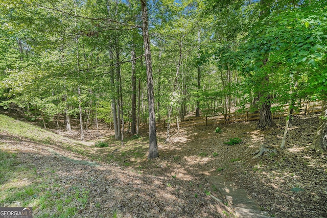 629 Gold Valley Pass, Canton, GA 30114 - view of landscape