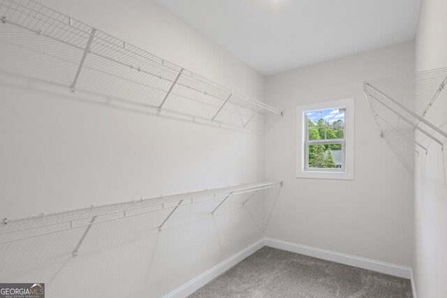 130 Rudders Xing, Newnan, GA 30263 - walk in closet featuring carpet flooring