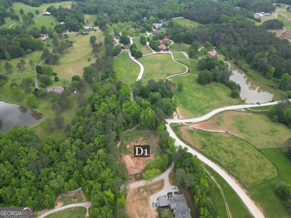 10 Prom Field Rd, Chattahoochee Hills, GA 30268