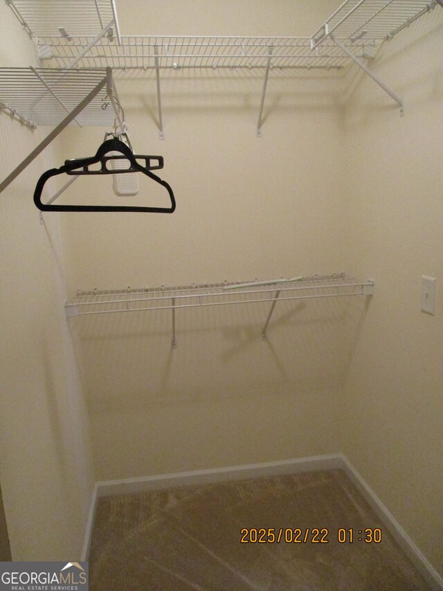 spacious closet featuring carpet